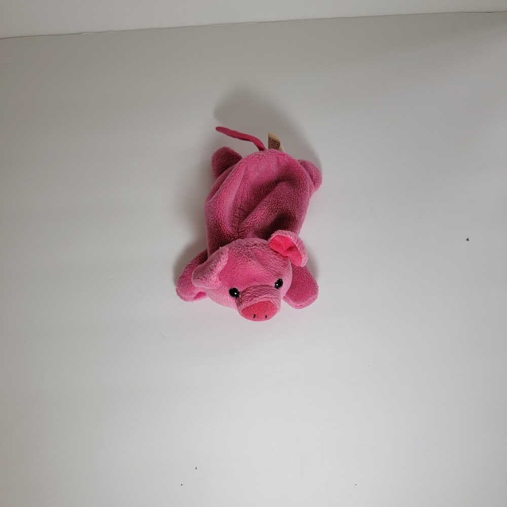 🥳  Lil Piggy